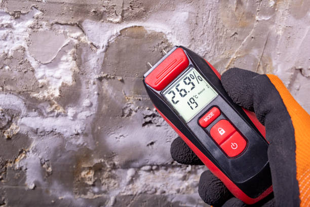 Best Residential Mold Remediation in Erlanger, KY